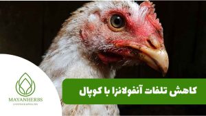 کاهش تلفات آنفولانزا با مکمل کوپال